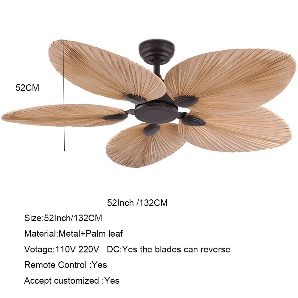 Ceiling Fan