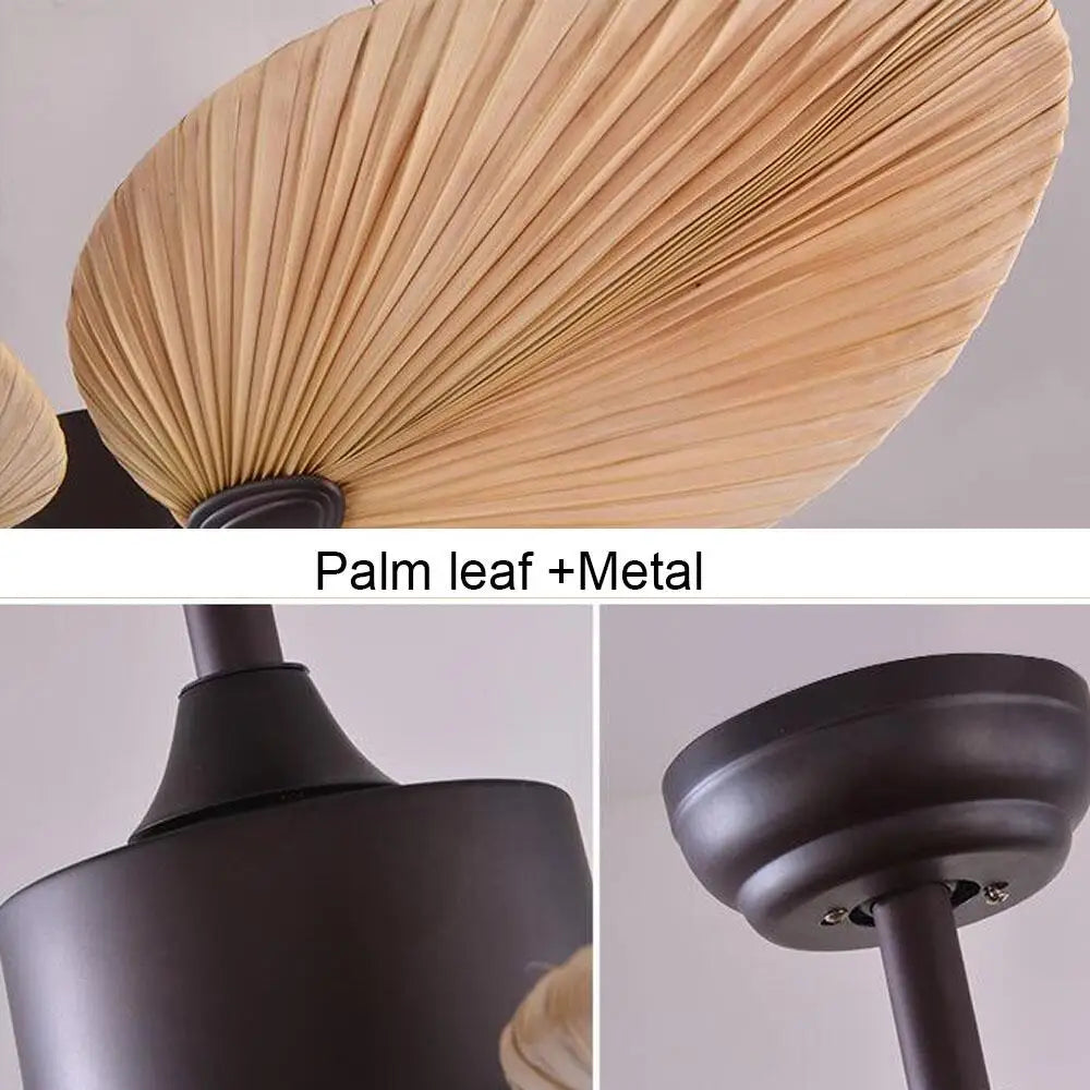 Ceiling Fan
