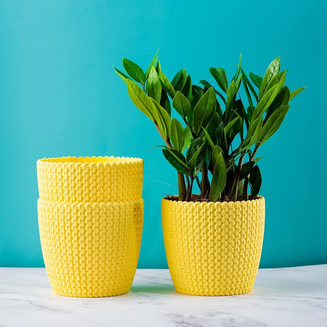 Flower Plastic Pot