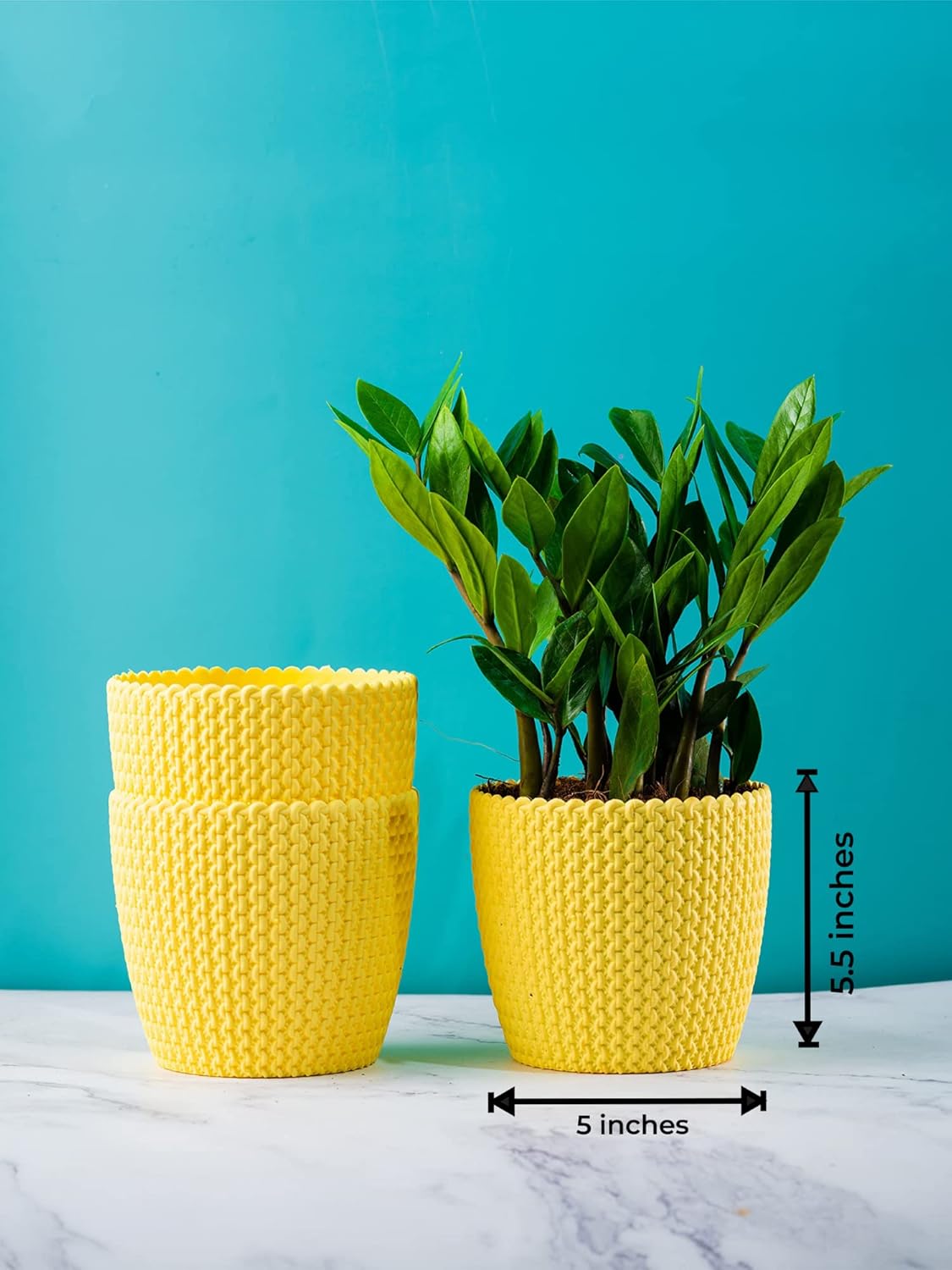 Flower Plastic Pot