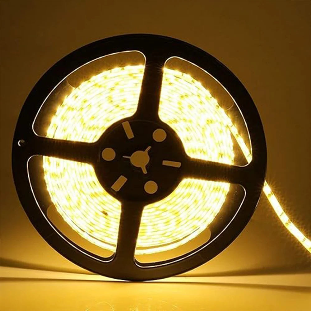 One Color LED Strip Light