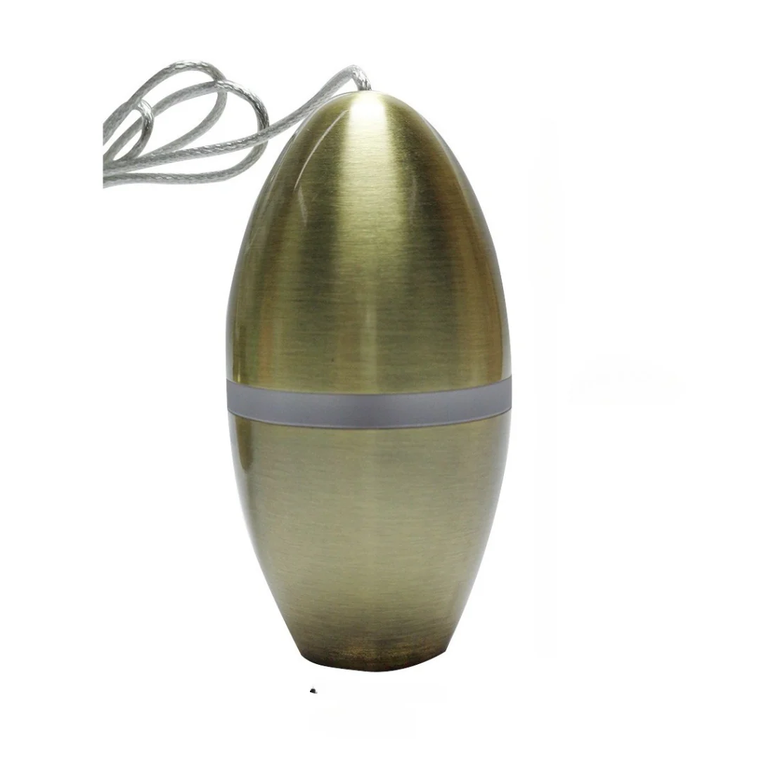 Elegant Pendant Light