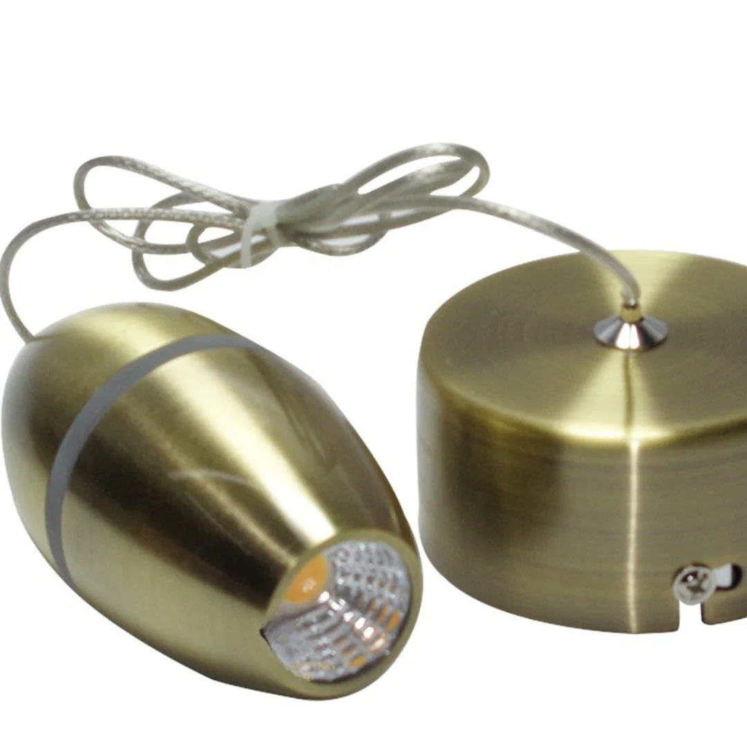 Elegant Pendant Light
