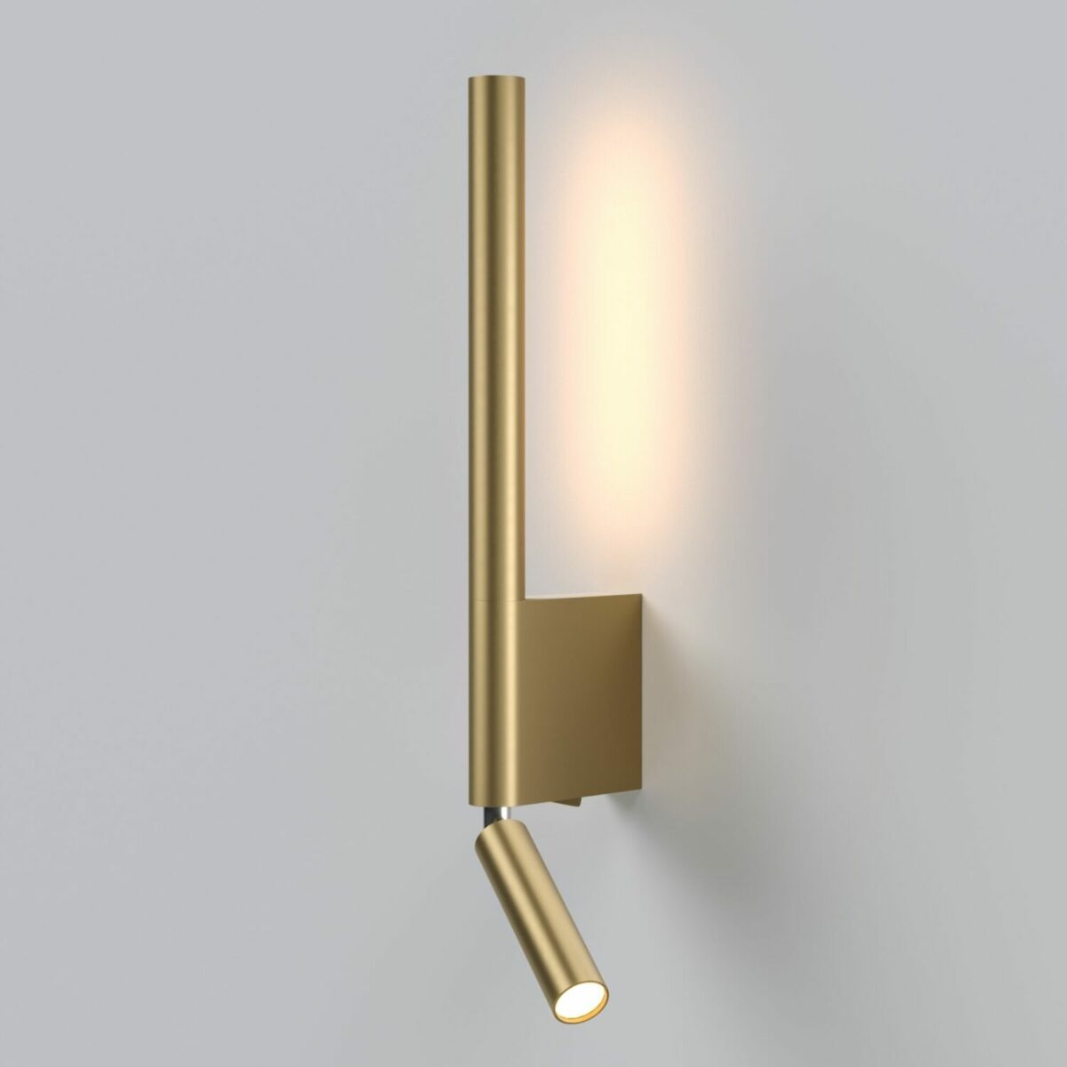 New Modern Minimalist Gold Finish LED Wall lamp With Spot light